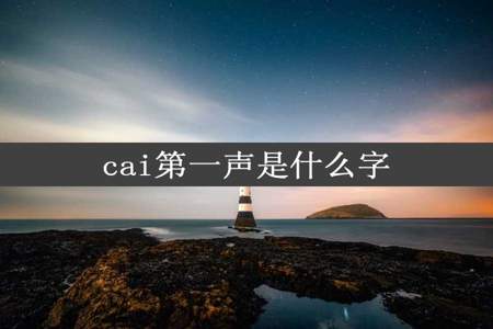 cai第一声是什么字