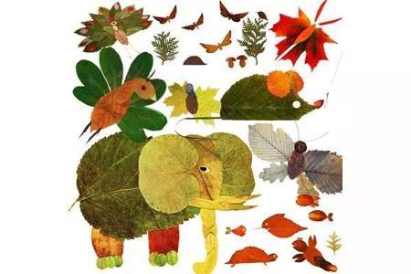树叶可以比喻成动物的什么