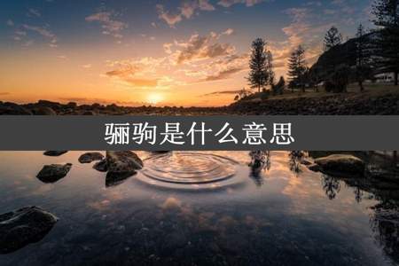 骊驹是什么意思