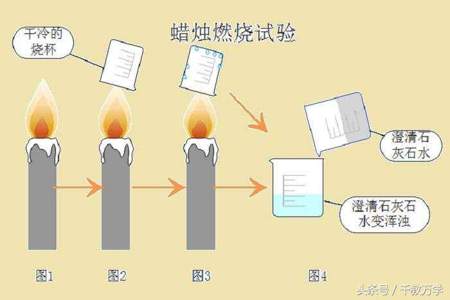 初三鲁教版化学研究些什么蜡烛燃烧实验