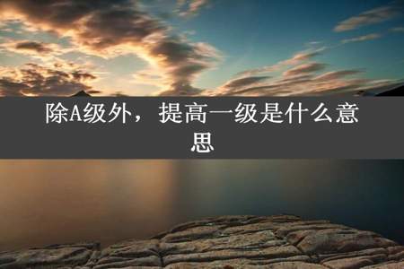 除A级外，提高一级是什么意思