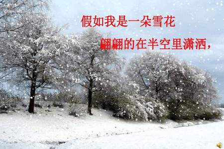 陪一片雪花啥意思