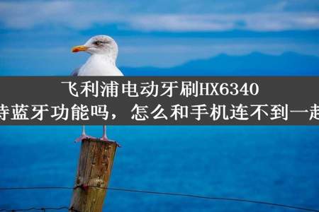 飞利浦电动牙刷HX6340支持蓝牙功能吗，怎么和手机连不到一起呢