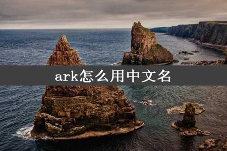 ark怎么用中文名