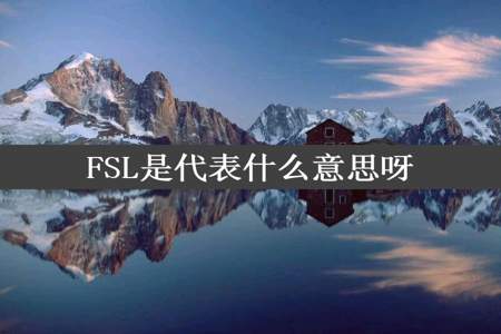 FSL是代表什么意思呀