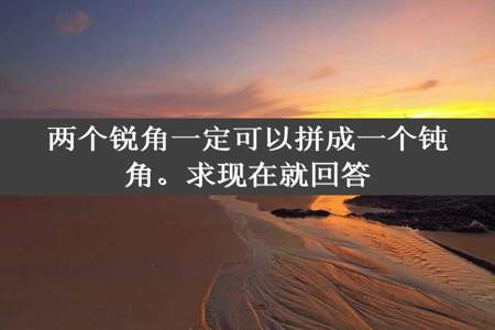 两个锐角一定可以拼成一个钝角。求现在就回答