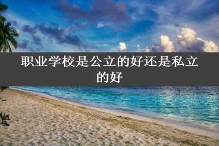 职业学校是公立的好还是私立的好