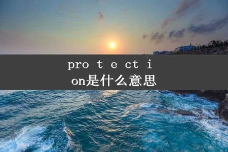 pro t e ct i on是什么意思