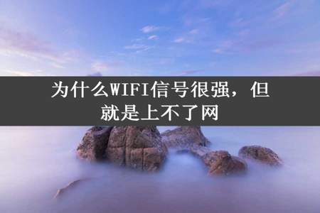 为什么WIFI信号很强，但就是上不了网