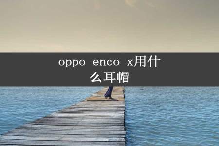 oppo enco x用什么耳帽