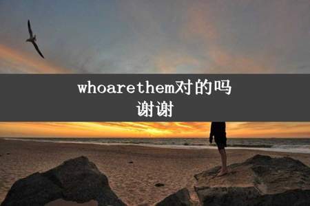 whoarethem对的吗谢谢