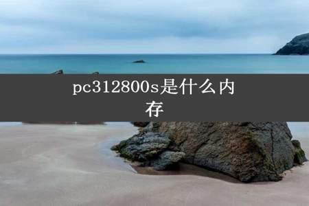 pc312800s是什么内存