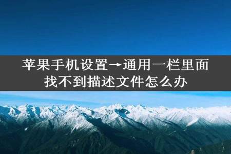 苹果手机设置→通用一栏里面找不到描述文件怎么办