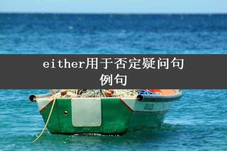 either用于否定疑问句例句