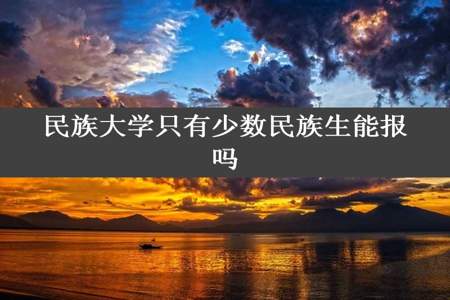 民族大学只有少数民族生能报吗