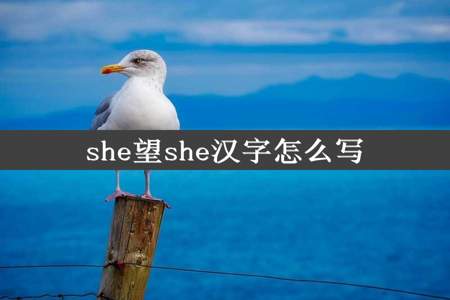 she望she汉字怎么写