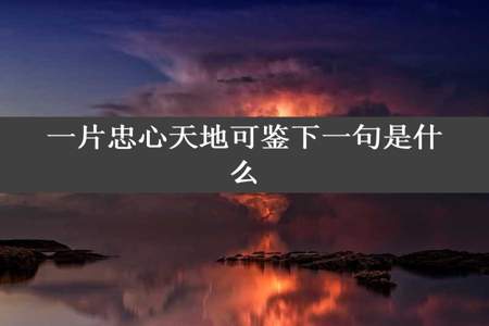 一片忠心天地可鉴下一句是什么