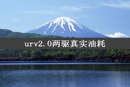 urv2.0两驱真实油耗