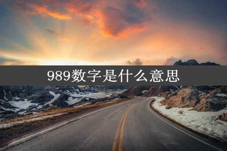 989数字是什么意思