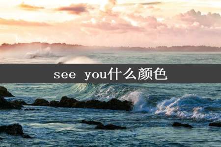 see you什么颜色