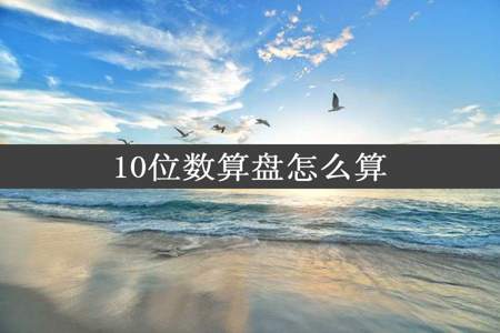 10位数算盘怎么算