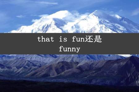 that is fun还是funny