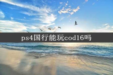 ps4国行能玩cod16吗