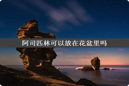 阿司匹林可以放在花盆里吗