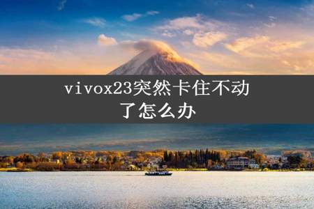 vivox23突然卡住不动了怎么办