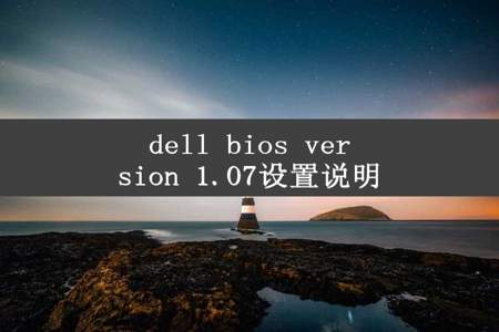 dell bios version 1.07设置说明