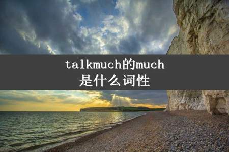 talkmuch的much是什么词性