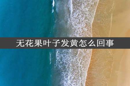 无花果叶子发黄怎么回事