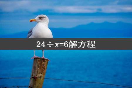 24÷x=6解方程