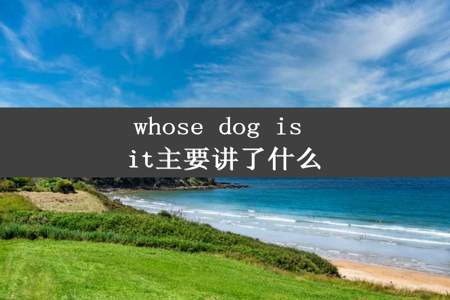 whose dog is it主要讲了什么