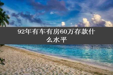 92年有车有房60万存款什么水平