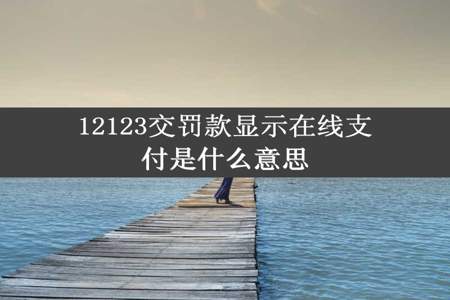 12123交罚款显示在线支付是什么意思