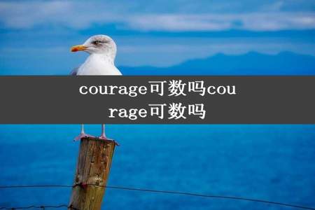 courage可数吗courage可数吗