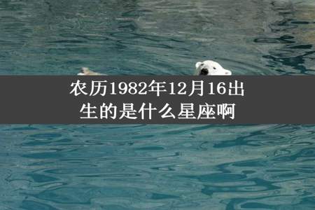 农历1982年12月16出生的是什么星座啊