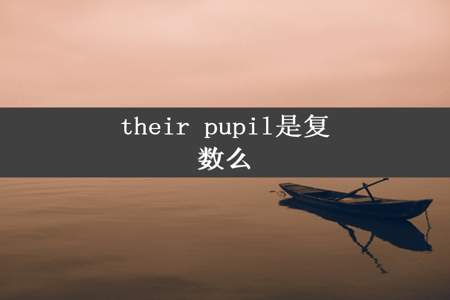 their pupil是复数么