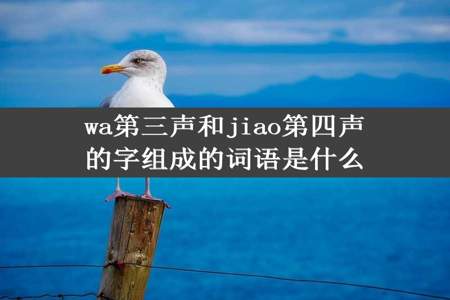 wa第三声和jiao第四声的字组成的词语是什么