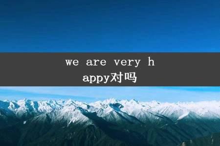 we are very happy对吗