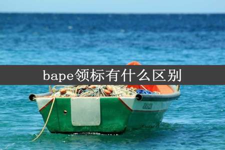 bape领标有什么区别