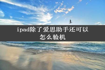 ipad除了爱思助手还可以怎么验机