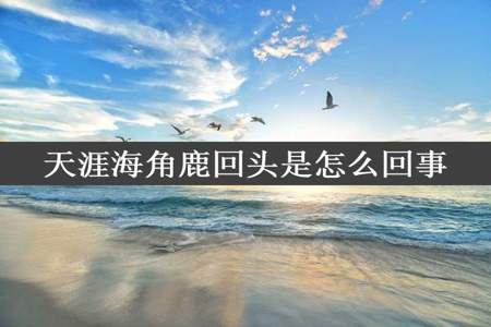 天涯海角鹿回头是怎么回事