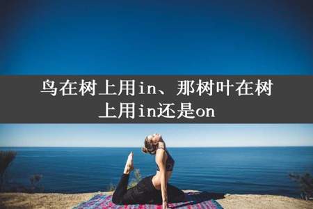 鸟在树上用in、那树叶在树上用in还是on