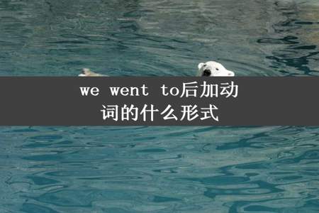 we went to后加动词的什么形式