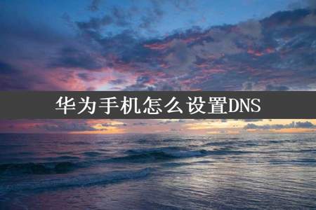 华为手机怎么设置DNS