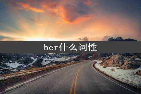 ber什么词性