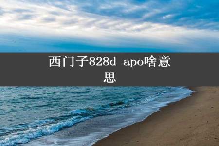 西门子828d apo啥意思