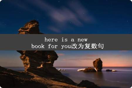 here is a new book for you改为复数句